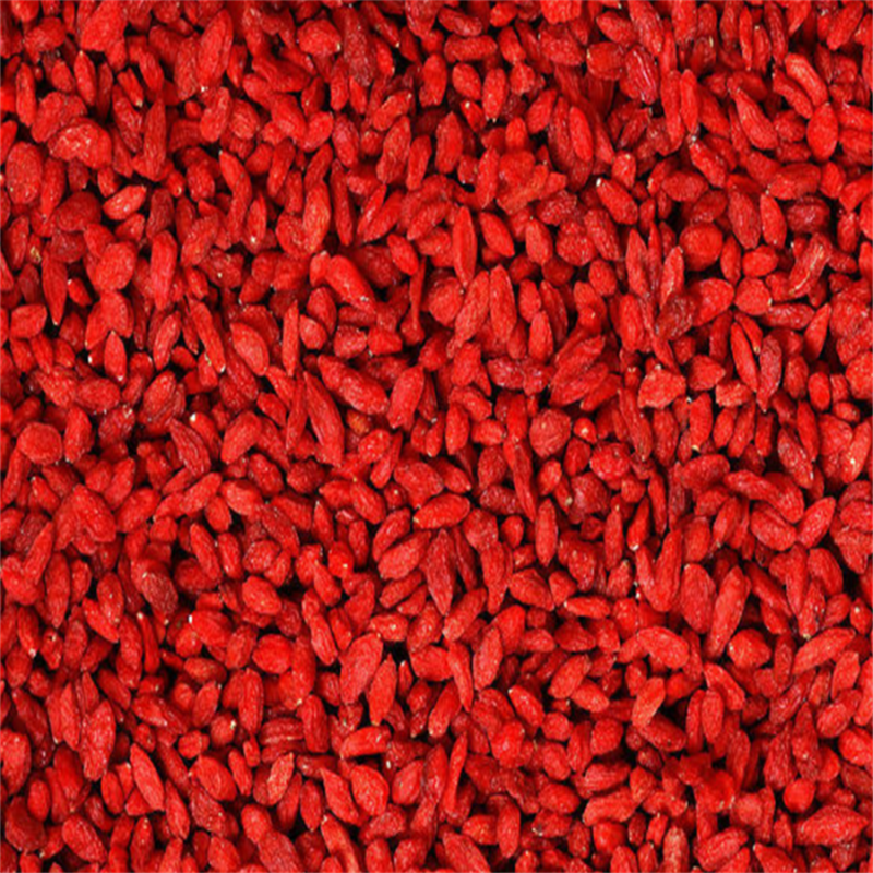 Haute qualité en vrac en gros Ningxia goji berry