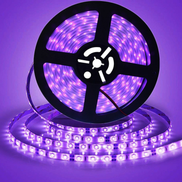 UV DC12V LED Strip Light SMD5050 60leds/M 395-405NM السطوع العالي الأرجواني