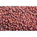 Crataegus pinnatifida без серы без штучнай афарбоўкі