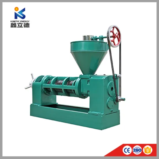 Home Made Spiral Oil Extractor Double Shaft Screw Palm Kernel Oil Press Machine in India