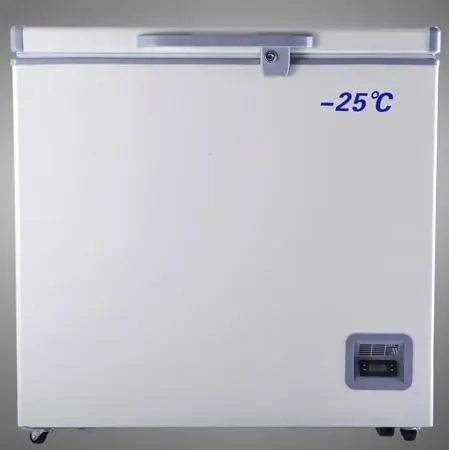 -25Degree Chest Style Deep Freezer