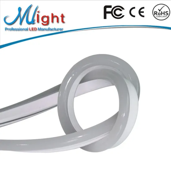 mini 12V SMD2835 120/led outdoor indoor decoration waterproof customize LED Neon Flex Flex LED neon rope light