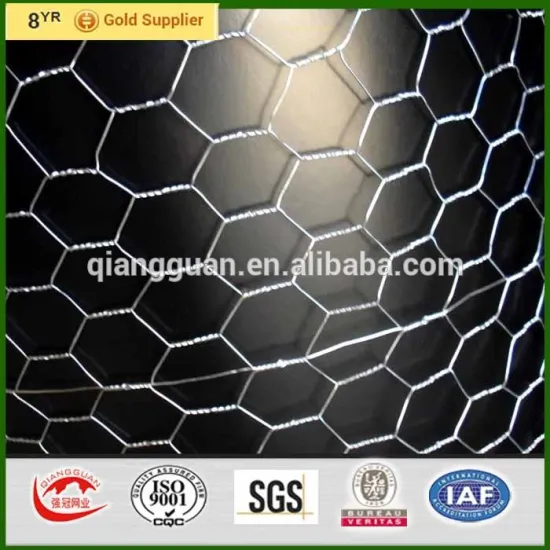 Aviary fence 50mm holes, light weight netting fence for chicken