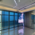 Digital Signage On LED Display Glass