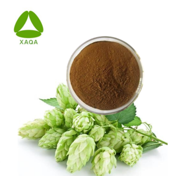 Ekstrak Hops 98% Xanthohumol Powder 6754-58-1