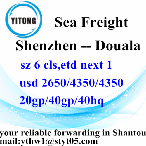 Shenzhen International Sea Freight Shipping services to Douala