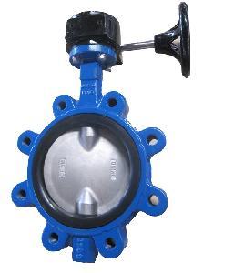 Df326 Lug Type Butterfly Valve with Double Axis