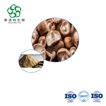 Lentinus Edodes Extract - Wholesale Polysaccharides 30%-50% for Nutraceuticals