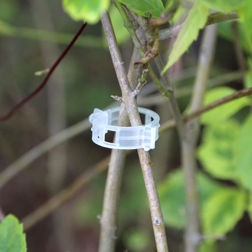 Plastic Tomato Hook For Supporting Vegetables