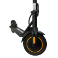 Escooter 350w in Standing Scooter For Adults
