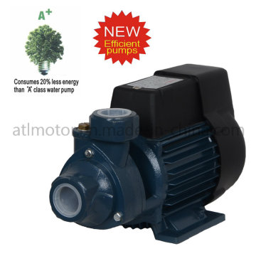 High Quality Peripheral Water Pump with CE&ISO Approved (QB60)