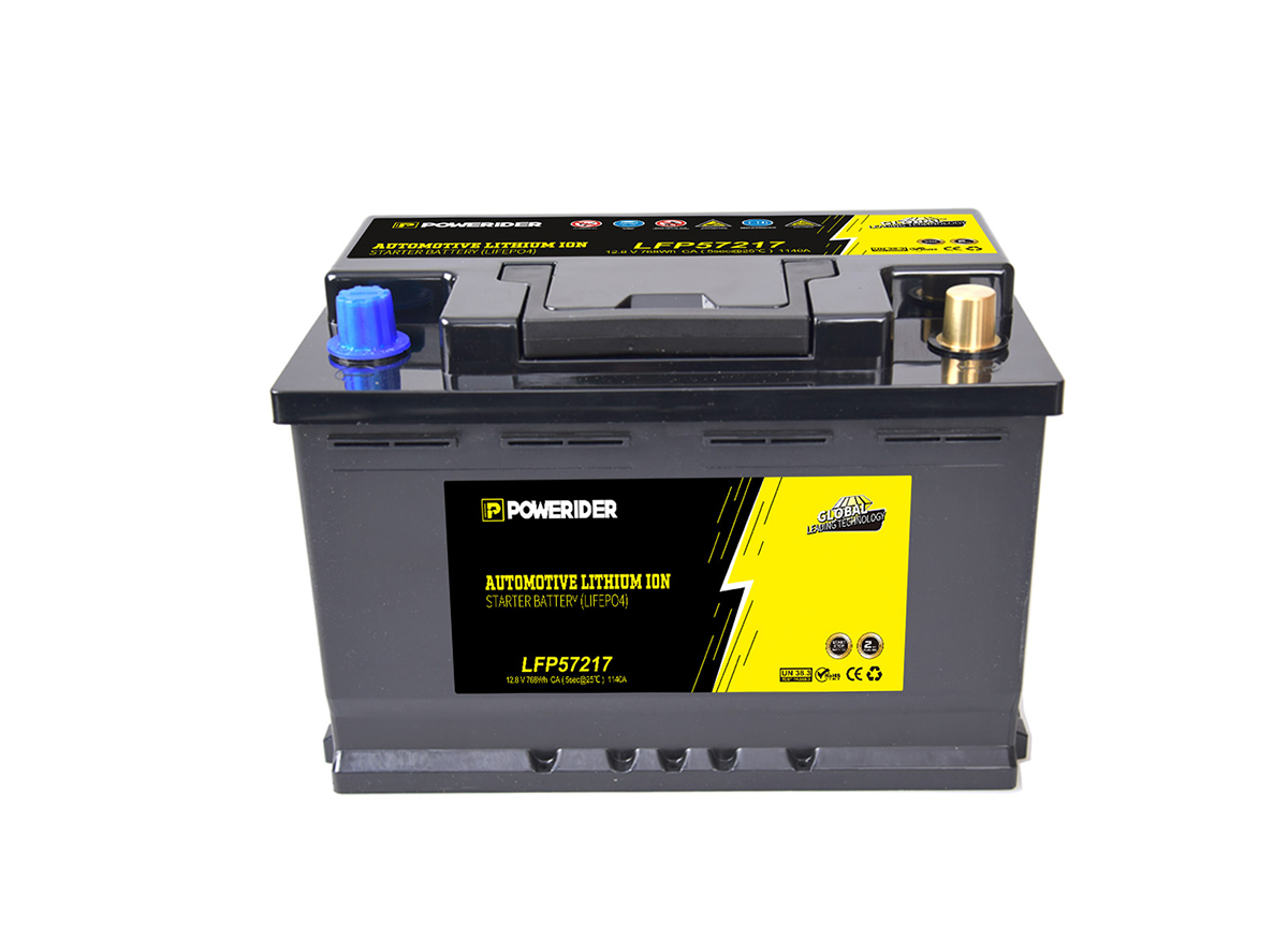 LiFePO4 Battery