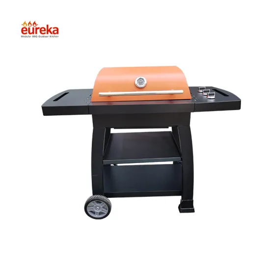 Stainless Steel Outdoor Kitchen Gas Barbecue Grill BBQ
