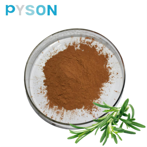 Rosemary extract Rosmarinic Acid powder 20%