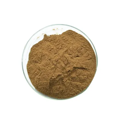 Chinese professional manufacturer pure tartary buckwheat seed extract