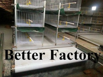 BT Factory high quality commercial auto manure removal machine (welcome to my factory)