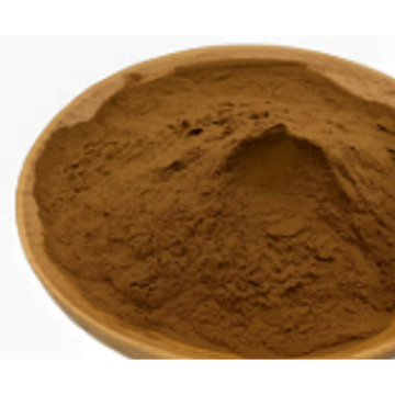 Allium Cepa L. Onion Extract