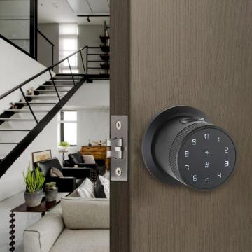 Presa cilindrica Chiusura della porta intelligente Wi-Fi Tuya con impronta digitale e codice