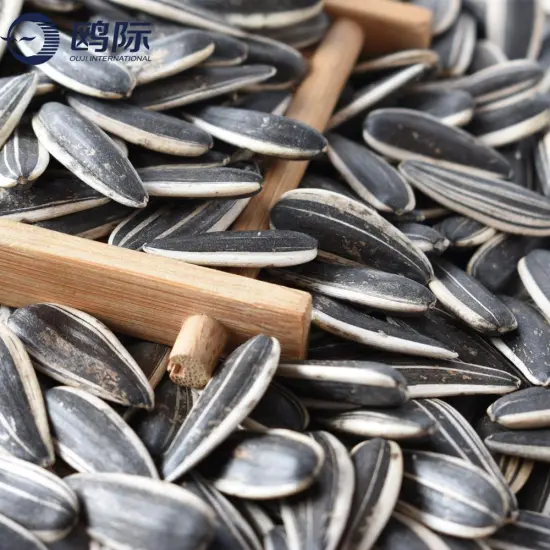 China Inner Mongolia Sunflower seeds