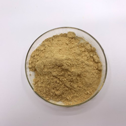 Microbial Rennet Cheese Chymosin Rennet