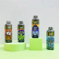 E-Cig Disposable Vape Pod Randm Paradise 8000