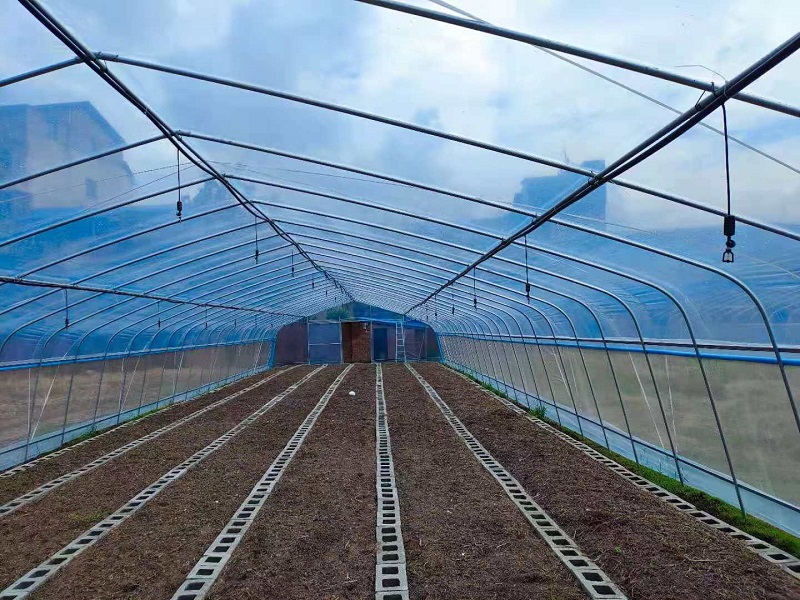 Qingcheng Agriculture's Single-Unit Arched Greenhouse Project in Hechuan Successfully Launched, Boosting the Quality and Efficiency of Suburban Facility Agriculture