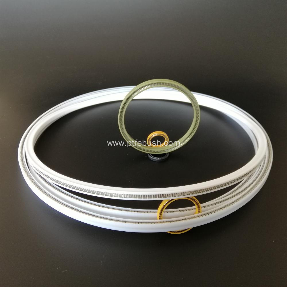 Spring-energized seals used in dynamic application