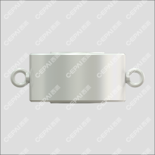 Double plate check valve