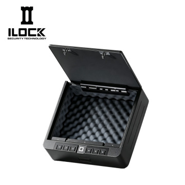 Tall & Deep Handgun Safe F5