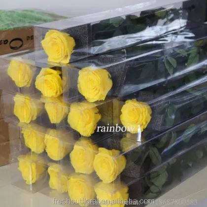 Wholesale 6-7cm Wide Red Fresh Preserved Rose Flowers