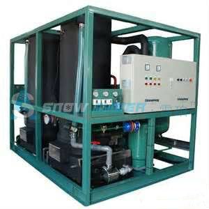 40 Tons Daily Best Selling Tube Ice Machine Philippines