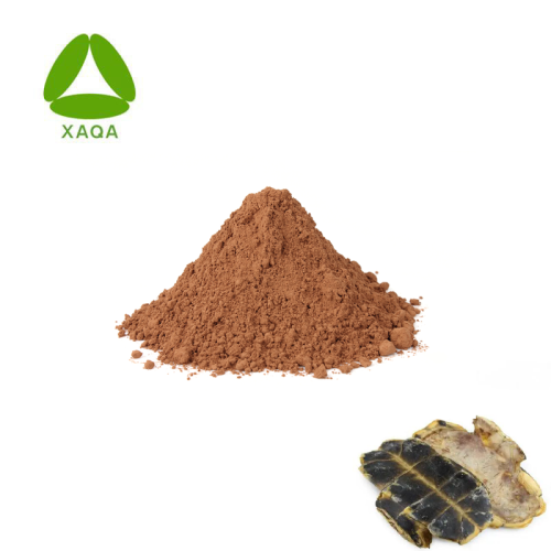 Supplement Healthcare Turtle Shell Extract Powder 10: 1