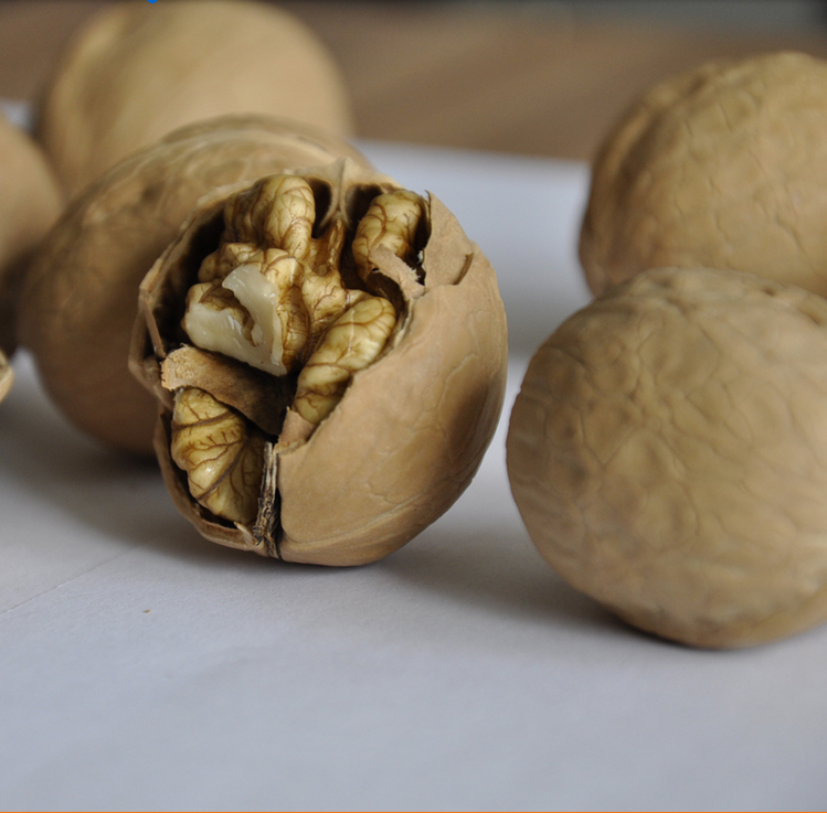 Good Walnut Fruit