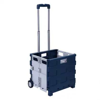 Wholesale Folding Shopping Cart Trolleys: Two-Wheeled Grocery Carts for Supermarkets