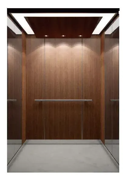 Small Machine Room Cargo Elevator