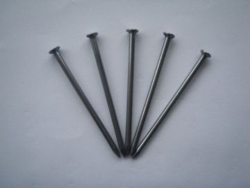 Common Nails