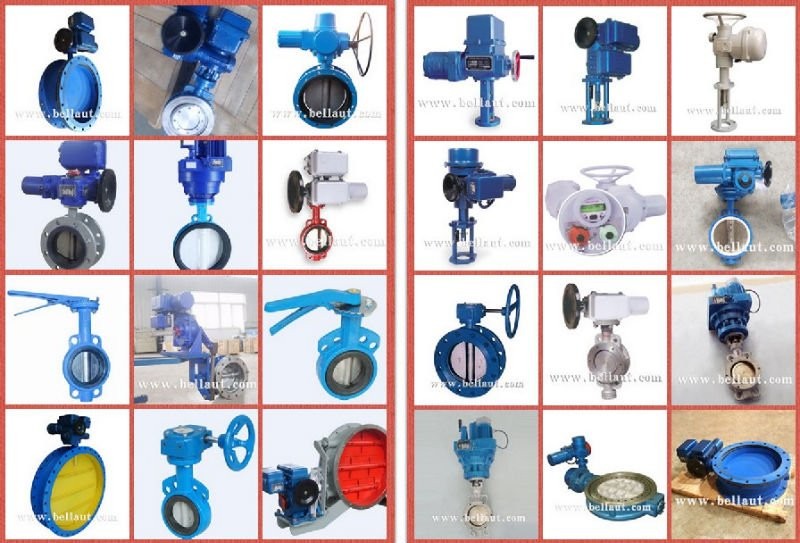 Worm-Actuated Wafer Manual Butterfly Valves