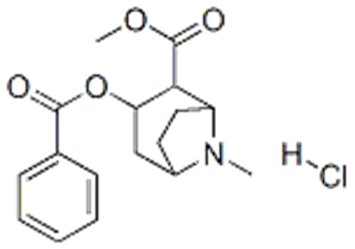 8-Azabicyclo[3.2.1]octane-2-carboxylicacid, 3-(benzoyloxy)-8-methyl-, methyl ester, hydrochloride (1:1),( 57251829,1S,2S,3R,5R)- CAS 113775-05-6