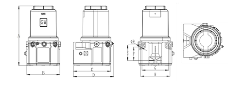 GW lubrication pump structure diagram