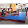 Mini Gym Equipment for Children - Parallel Bars