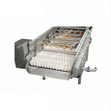 Industrial Brush Washing Machine for root vegetable line