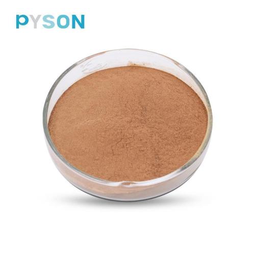 Discount!natural ginkgo biloba leaf extract powder