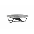Mordina de diseño de la sala de estar/mesa de té de la sala de estar
