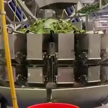 Large Volume Bucket Dimple Body Design Multihead Weigher for Salad Bowl