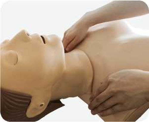 Advanced CPR Training Manikin