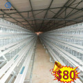 Con gà lồng chất lượng cao cho trang trại chăn nuôi gia cầm