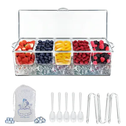 Ice Chilled 5 Compartment Condiment Server with Lid