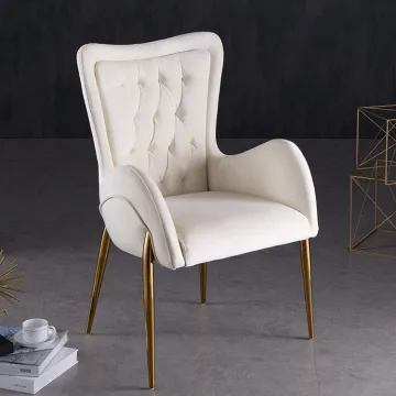 Luxury high back leisure chairs Stainless Steel Leg