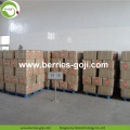 Factory Supply Fruit Bulk cosmetische voeding Goji Berry