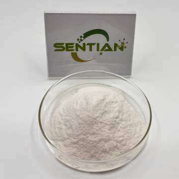 High-Purity Almond Protein Isolate for Health Supplements